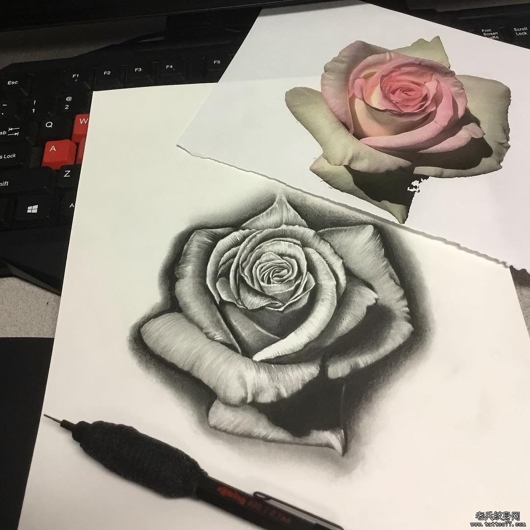欧美黑灰玫瑰纹身图案手稿