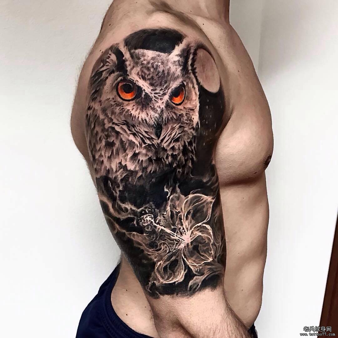 大臂欧美黑灰猫头鹰纹身图案