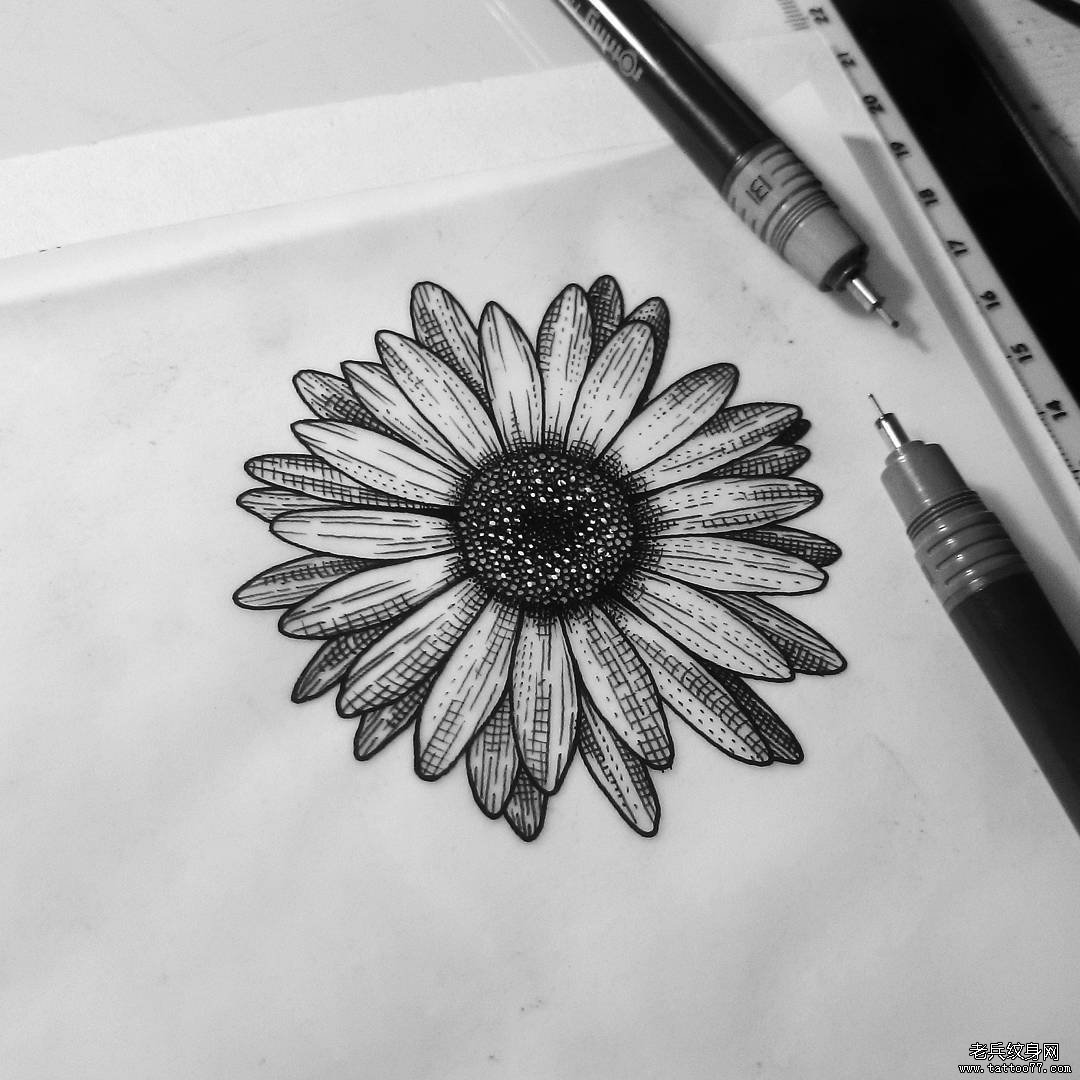 欧美黑灰菊花纹身图案手稿