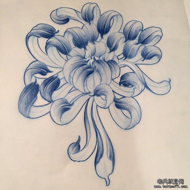 传统纹身图案菊花手稿