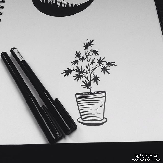 小清新盆景纹身图案手稿