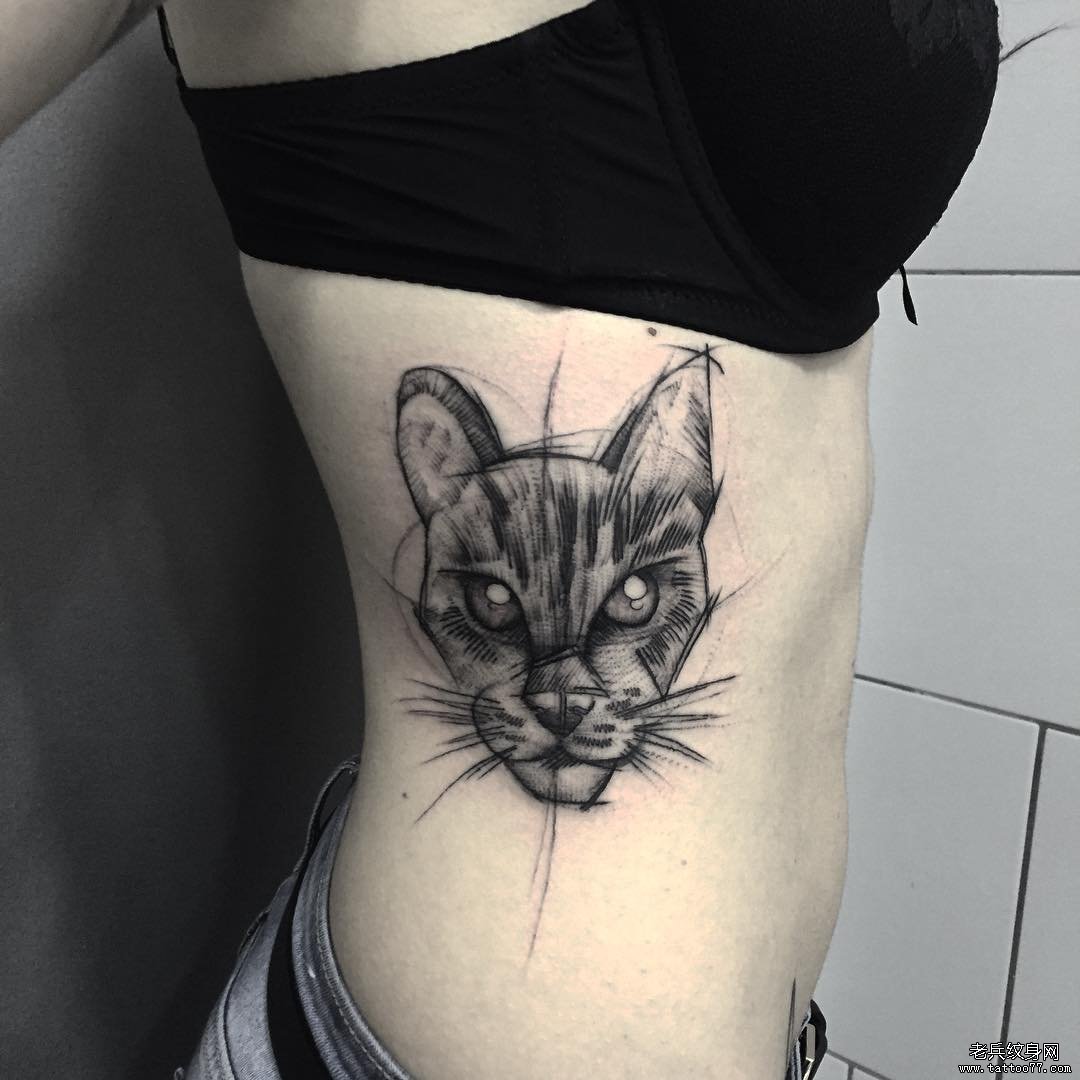 侧腰猫黑灰线条欧美纹身图案