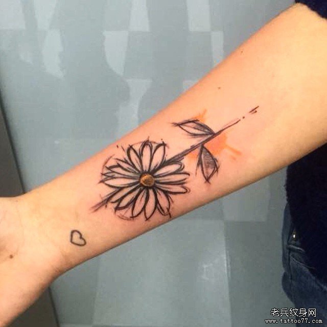 小臂菊花线条欧美纹身图案