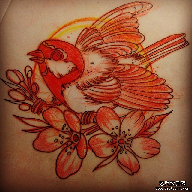 欧美彩色鸟纹身图案手稿