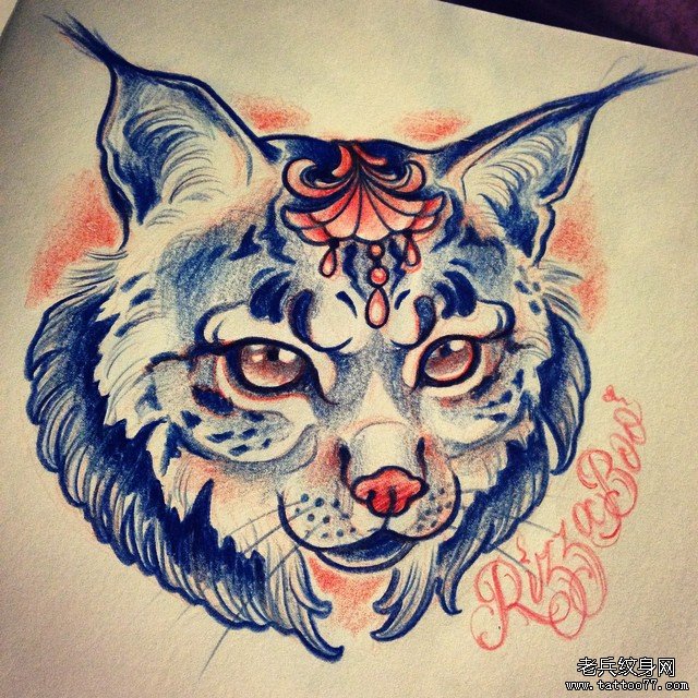 欧美school纹身猫图案手稿