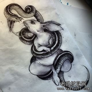 欧美蛇黑灰兔子纹身图案手稿