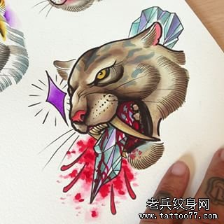 欧美豹子彩色school纹身图案手稿