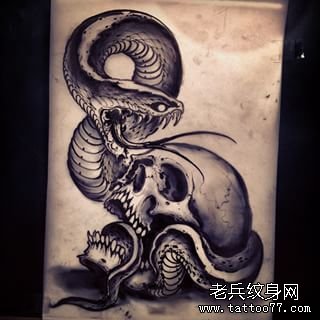 欧美蛇黑灰纹身骷髅图案手稿