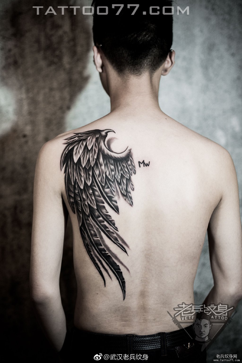 后背半背翅膀纹身图案作品