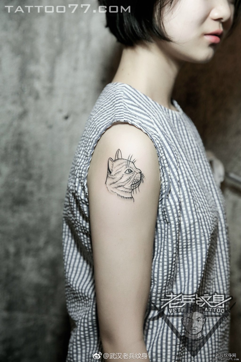 手臂猫咪纹身图案作品武汉纹身店打造