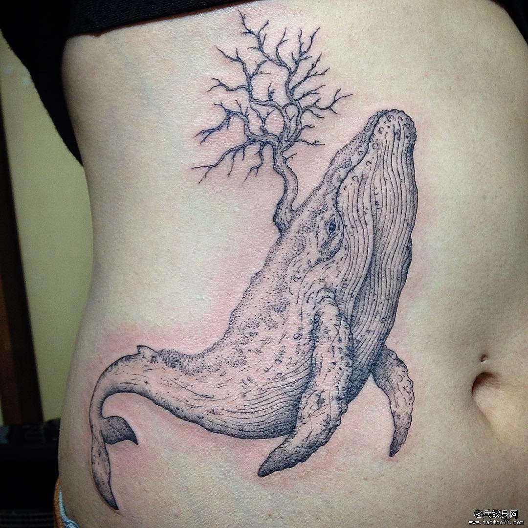 腹部黑灰鲸鱼纹身图案