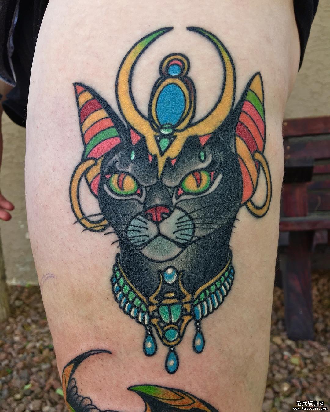 大腿彩色school欧美猫纹身图案