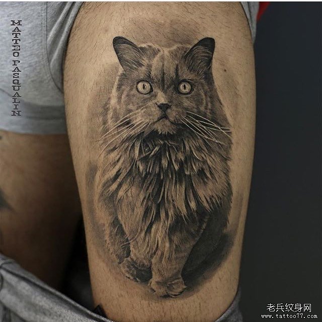 大腿欧美黑灰欧美猫纹身图案