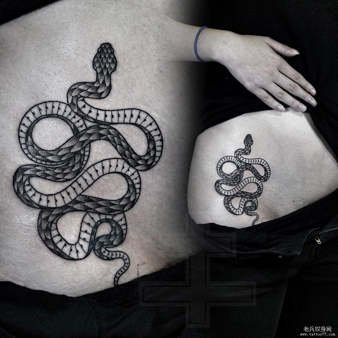 侧腰黑灰欧美纹身蛇图案
