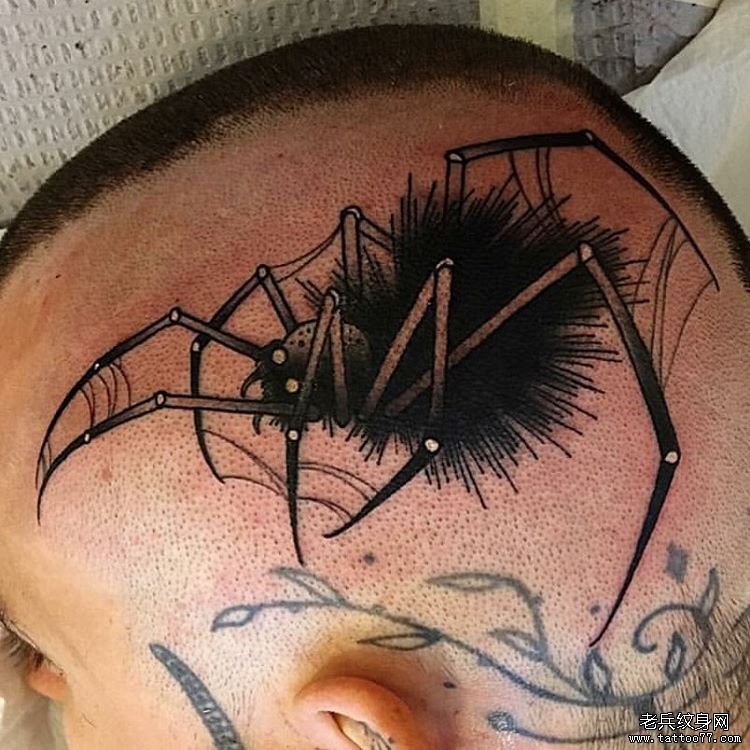 头部欧美黑灰蜘蛛纹身图案