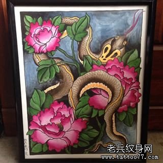 传统牡丹纹身图案蛇手稿