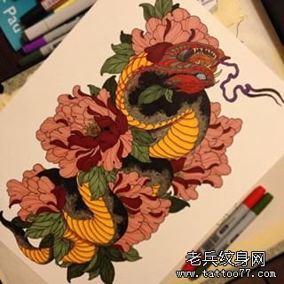 传统彩色蛇纹身牡丹图案手稿