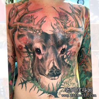 前胸麋鹿欧美彩色纹身图案