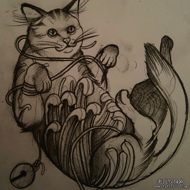 传统猫菊花纹身图案手稿