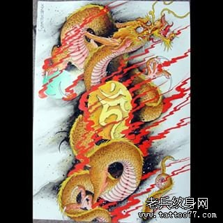 传统龙彩色纹身图案手稿