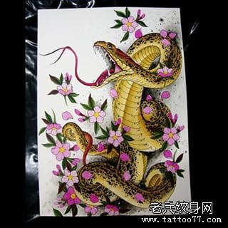 传统彩色樱花蛇纹身图案手稿