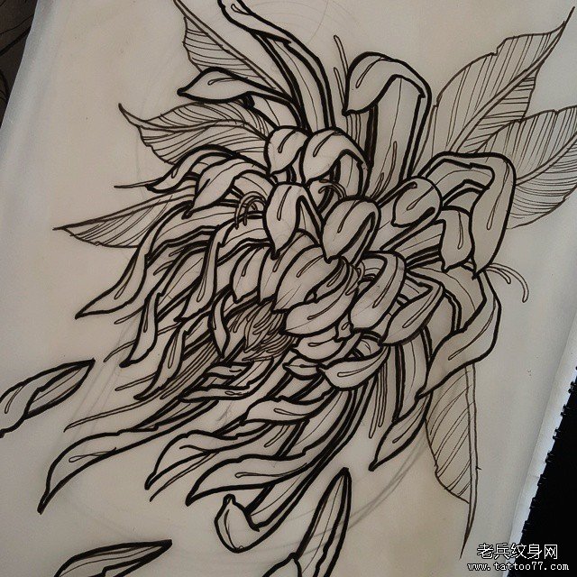 传统纹身菊花图案线稿