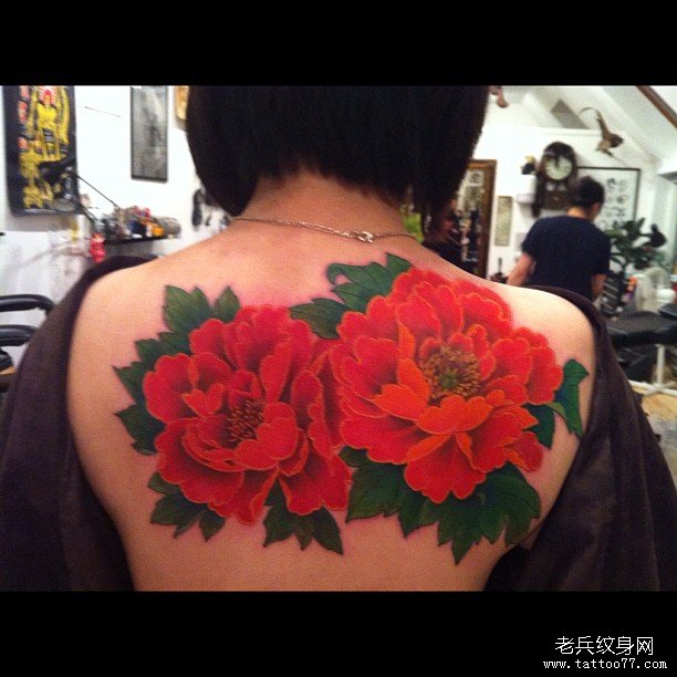背部彩色牡丹花卉传统纹身图案