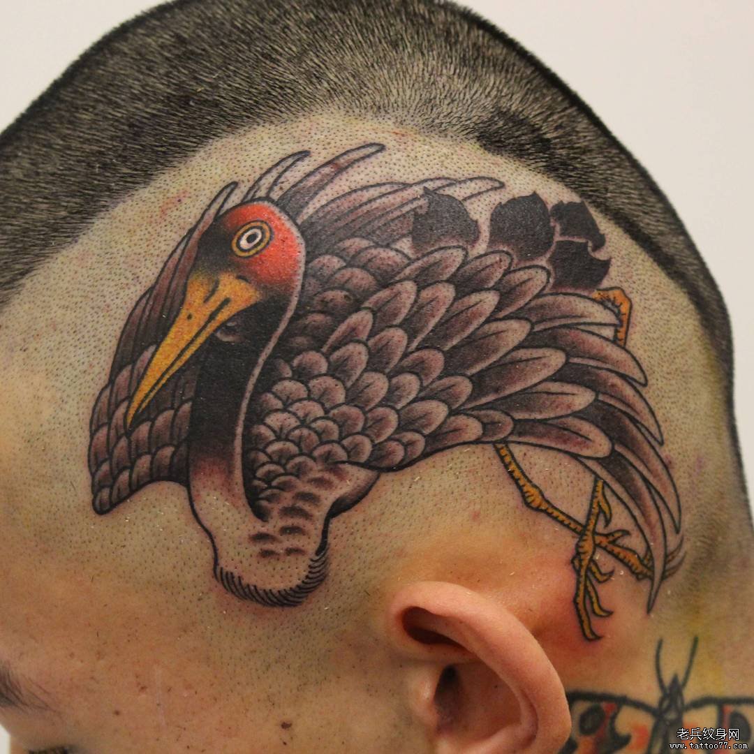 头部鹤传统纹身图案