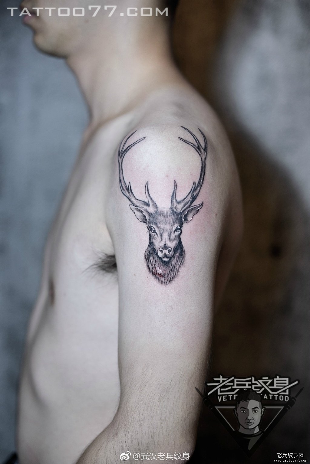 大臂鹿头纹身图案作品