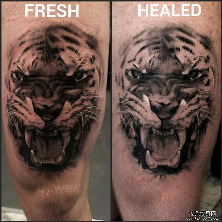 大腿黑灰老虎欧美纹身图案
