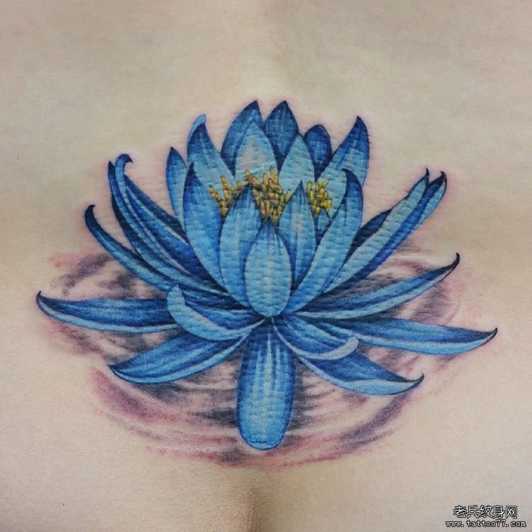 腰部彩色莲花传统纹身图案