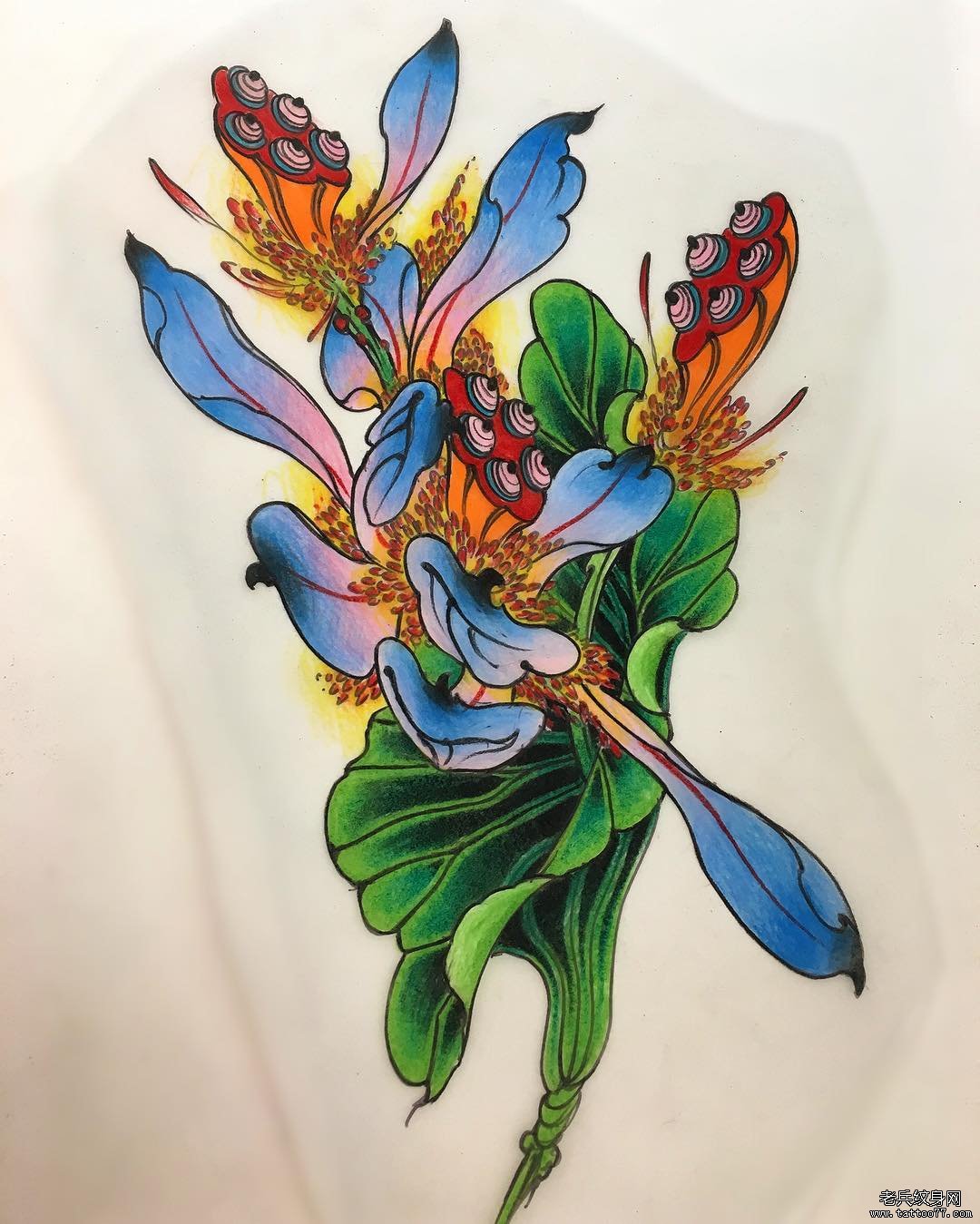 彩色莲花纹身图案手稿