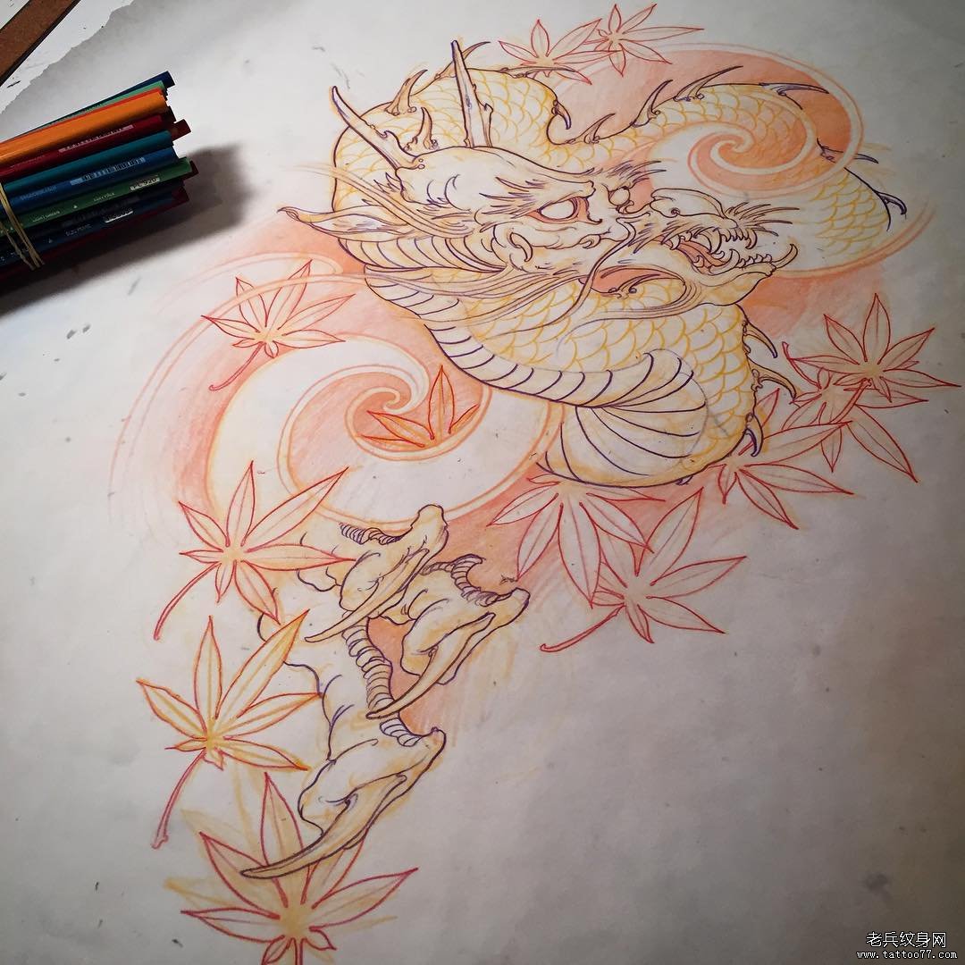 传统龙枫叶纹身图案手稿
