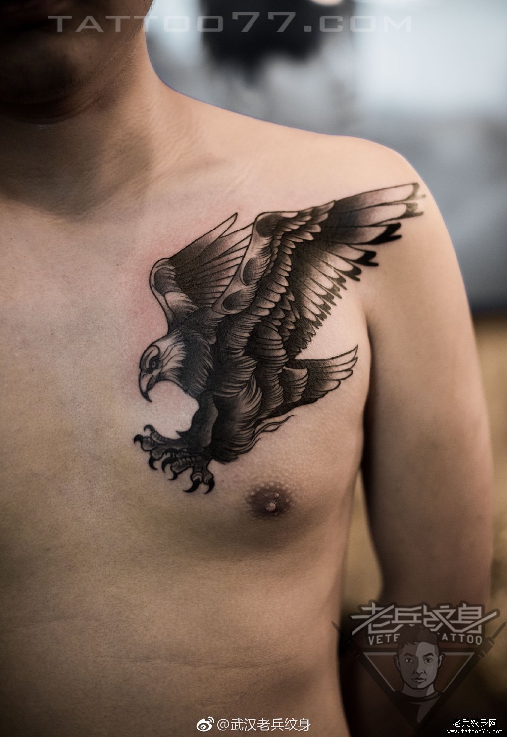 胸部老鹰纹身图案作品