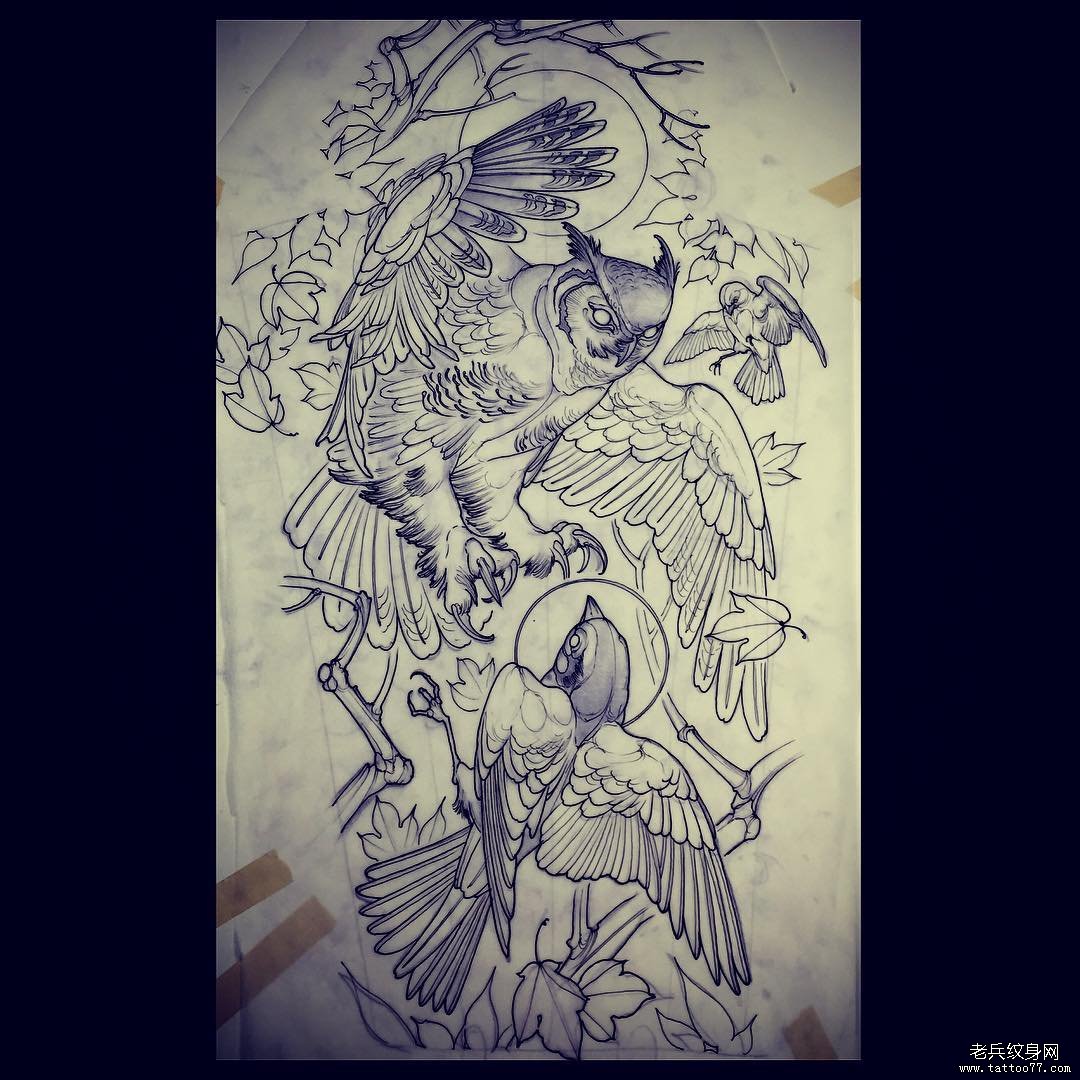 欧美猫头鹰鸟线条纹身图案手稿