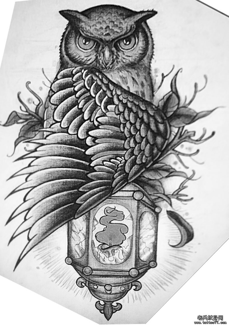 黑灰欧美猫头鹰遮盖纹身图案手稿