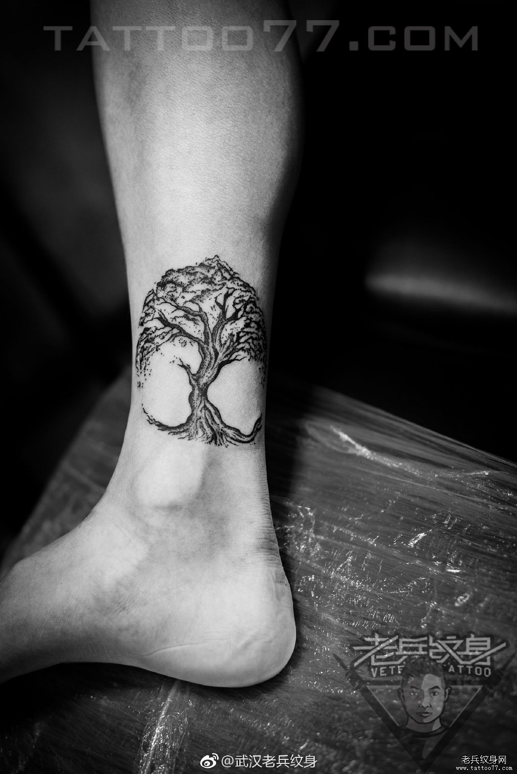 脚踝树纹身图案作品