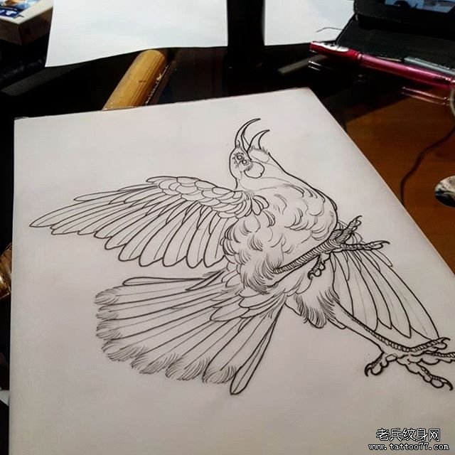 欧美鸟纹身school图案线稿