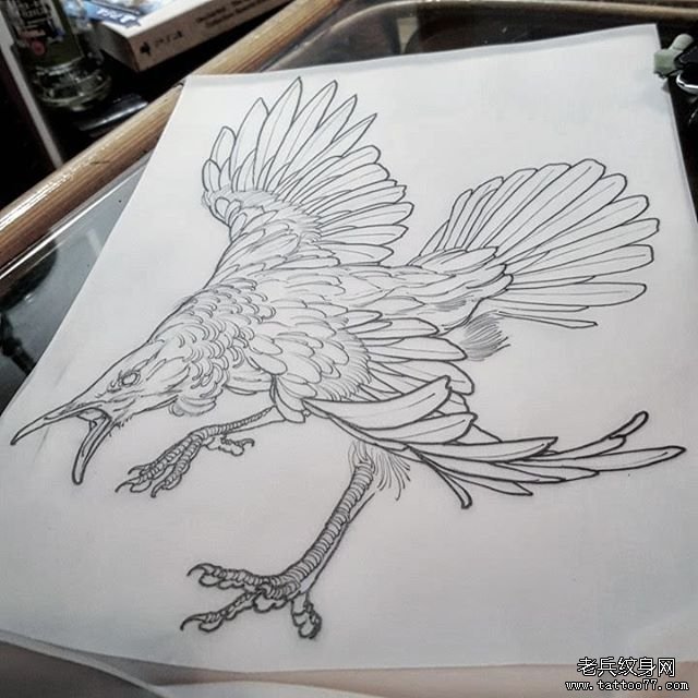 纹身图案鸟欧美线稿