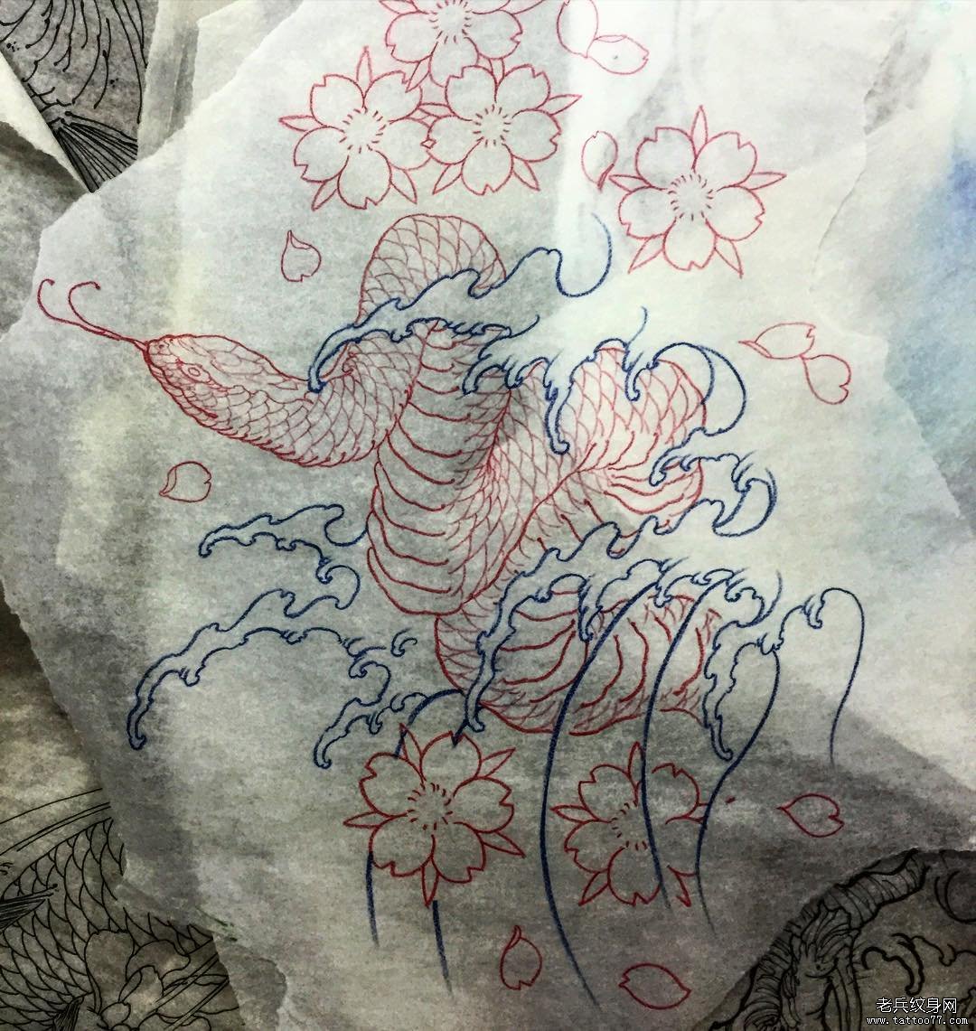 蛇传统樱花纹身图案手稿
