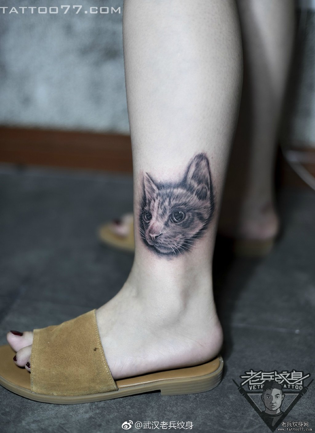 脚踝可爱猫咪纹身图案作品
