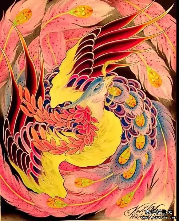 彩色凤凰纹身传统手稿