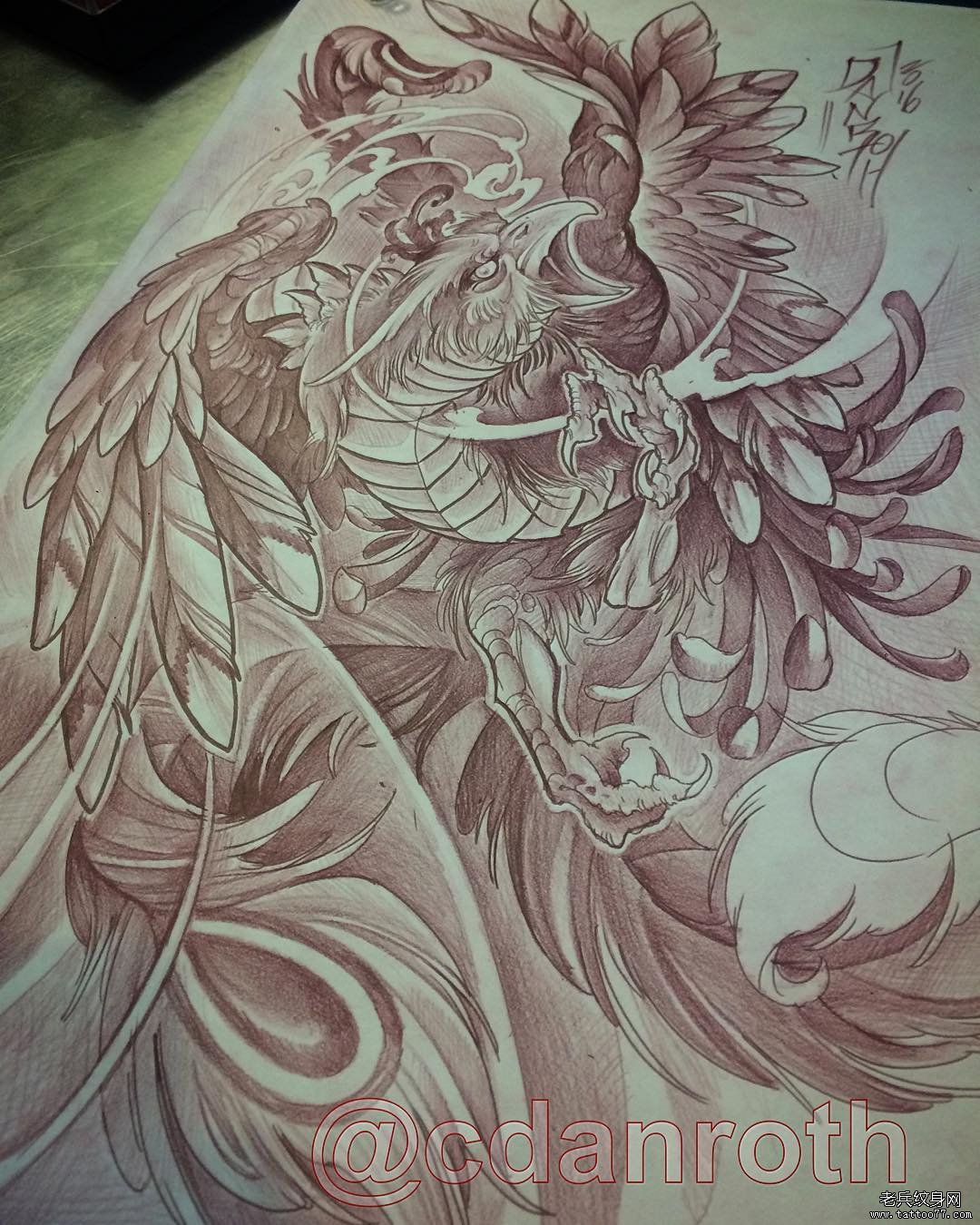 凤凰纹身传统图案手稿