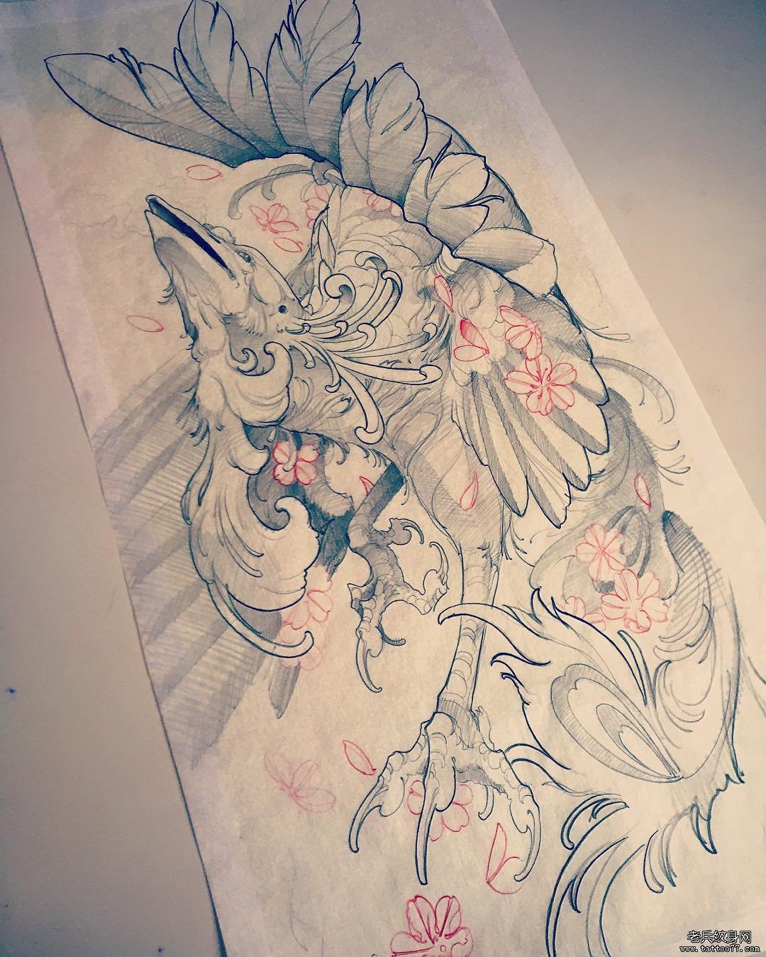 传统纹身凤凰图案手稿