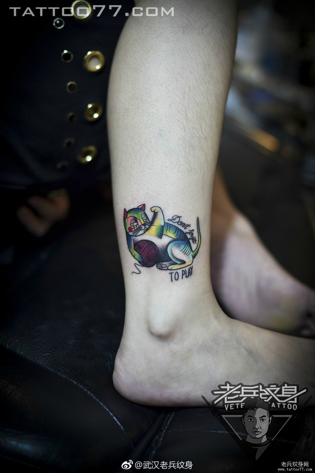 脚踝彩色小猫咪纹身图案作品