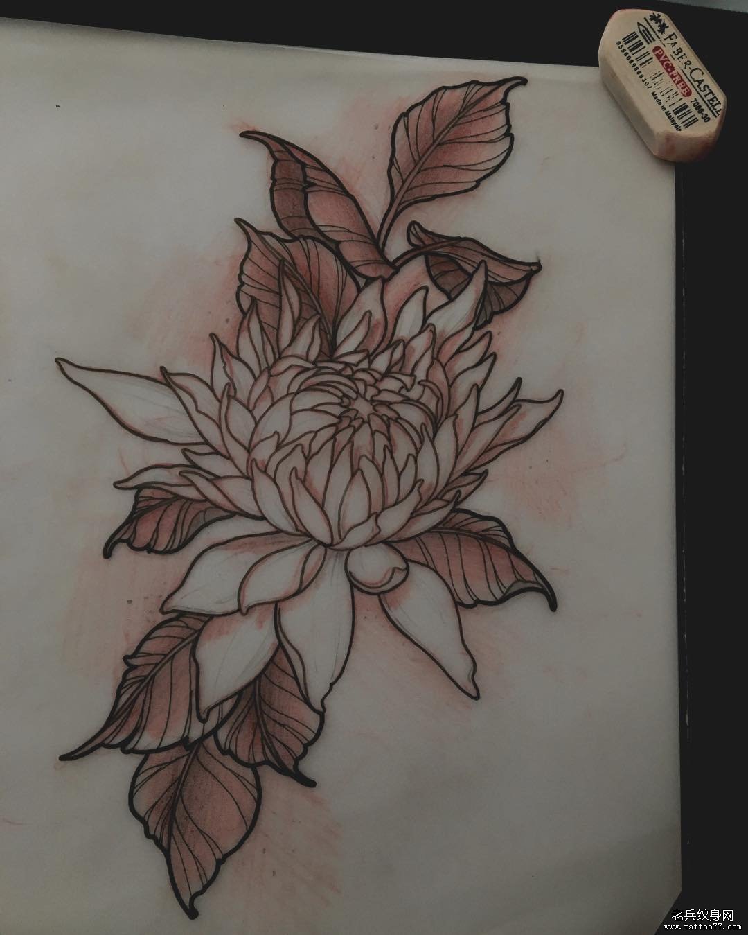 菊花纹身传统图案手稿