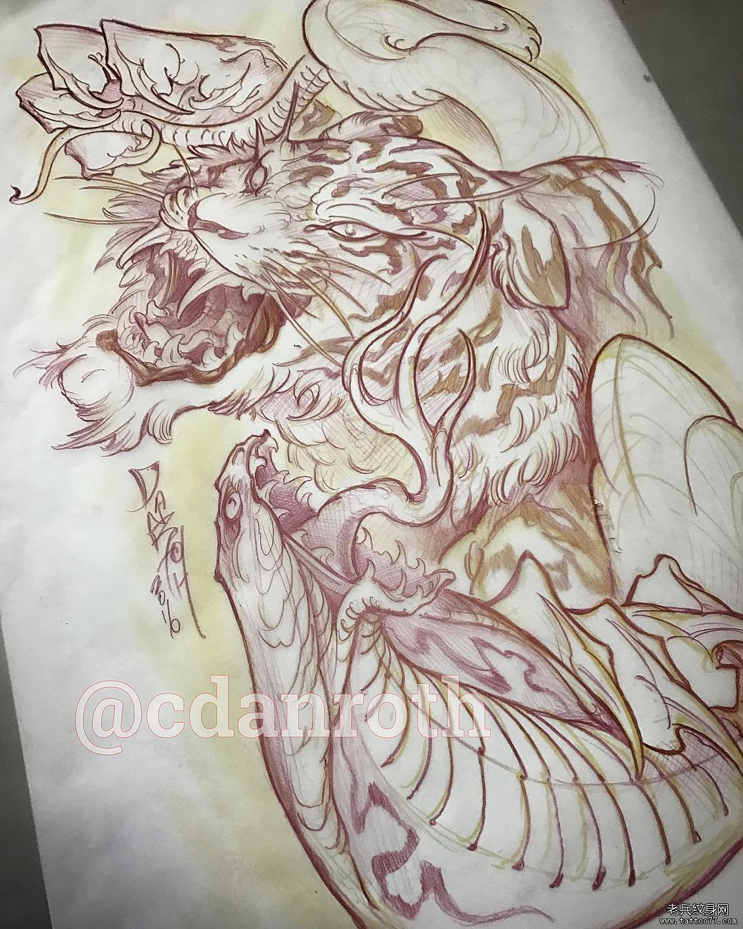 传统老虎蛇纹身图案手稿
