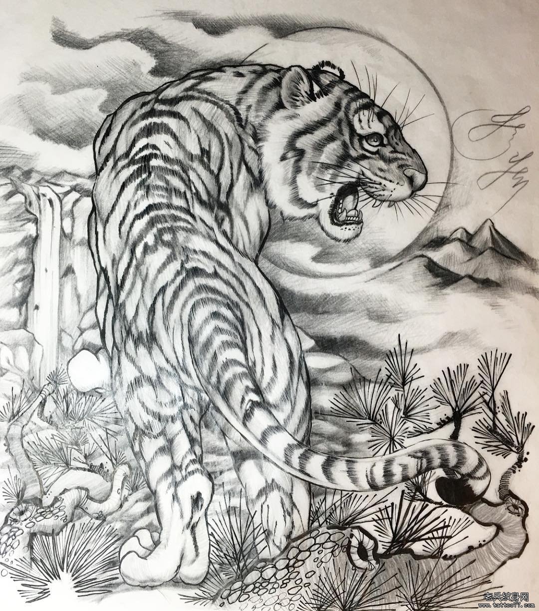 传统黑灰老虎纹身图案手稿
