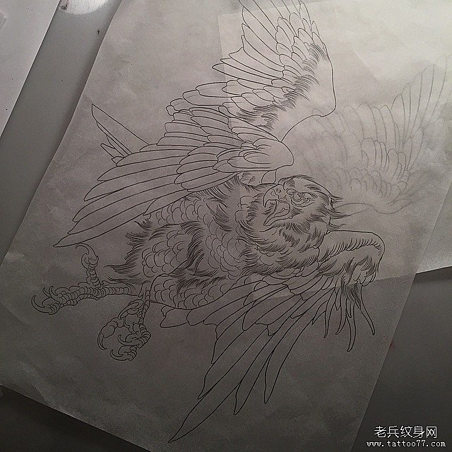 欧美老鹰纹身图案线稿