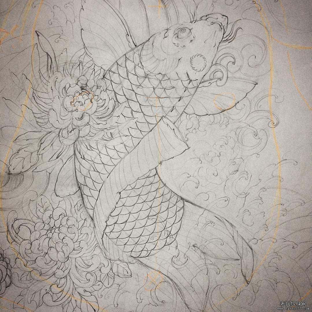 鲤鱼菊花传统纹身图案线稿